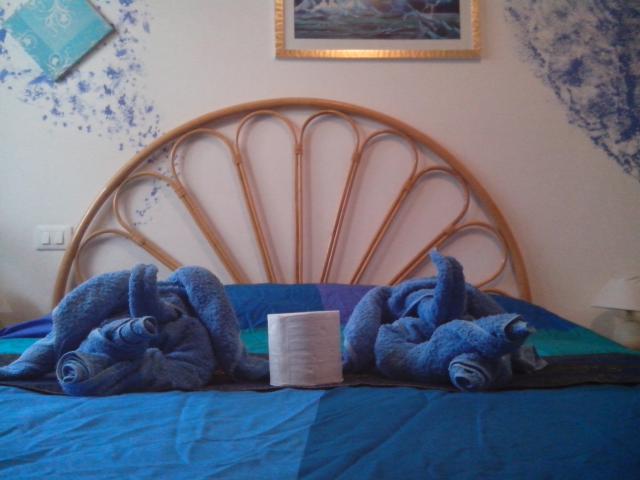 Photos for house 642128