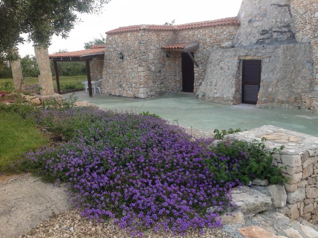 Photos for house 642129