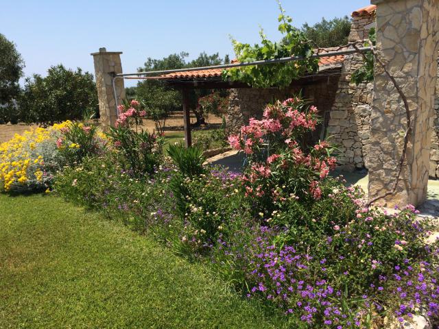 Photos for house 642129