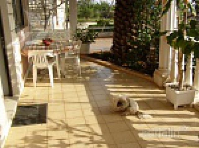 Photos for house 642133