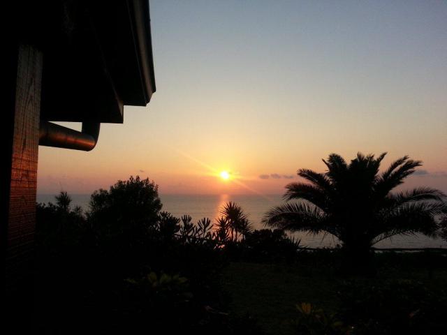 Photos for house 642134