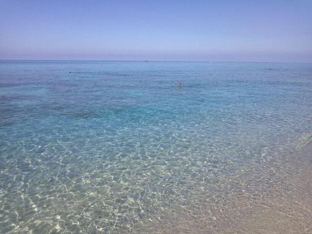 Photos for house 642134