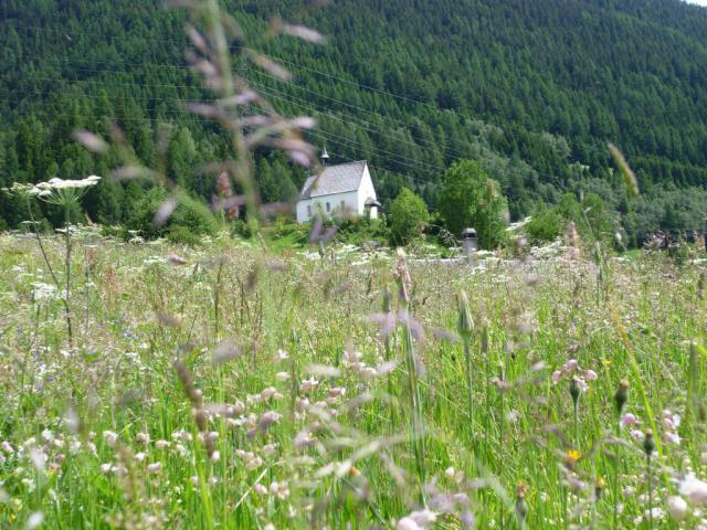 Photos for house 642147