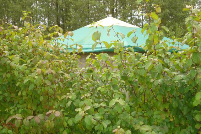 Photos for house 642148