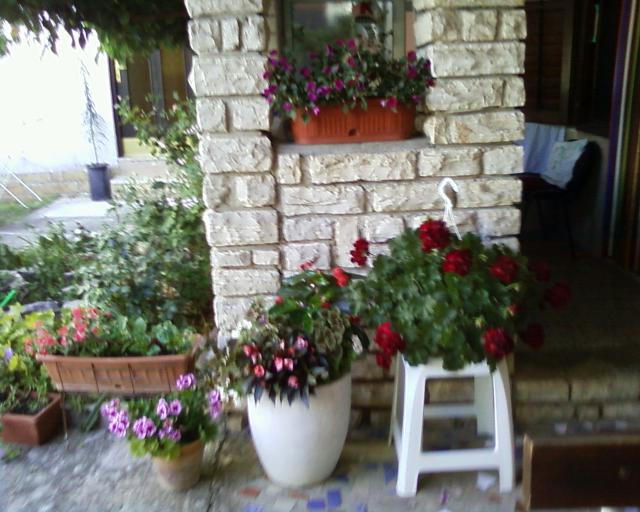 Photos for house 642149