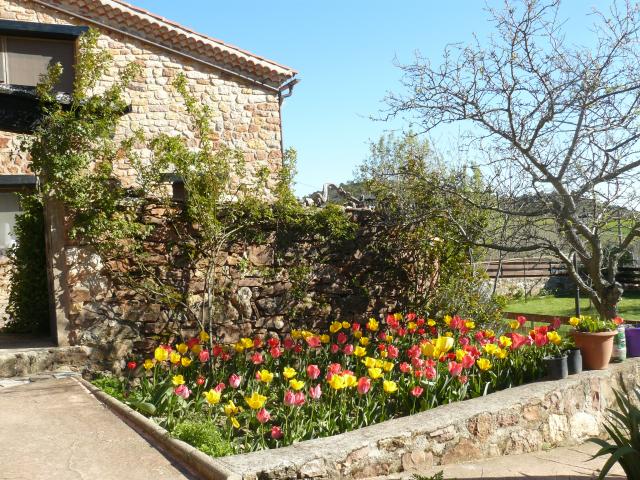 Photos for house 642155