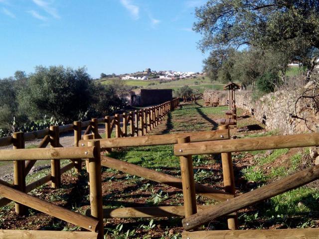 Photos for house 642159