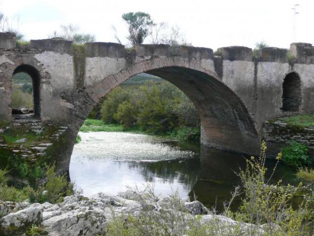 Photos for house 642159