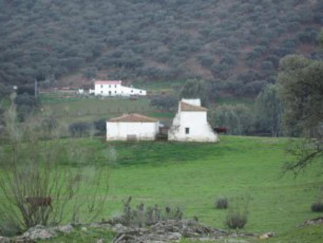 Photos for house 642159