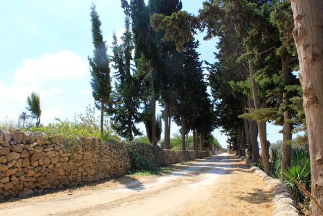 Photos for house 642160