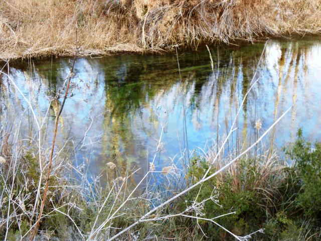 Photos for house 642165