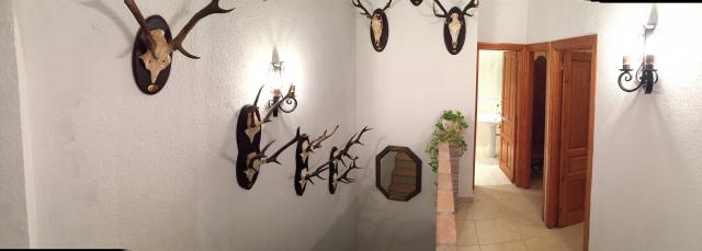 Photos for house 642167