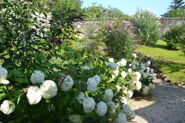 Photos for house 642176