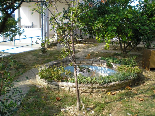 Photos for house 642178