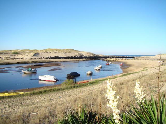 Photos for house 642179