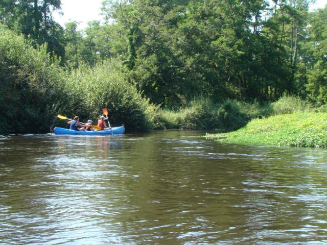 Photos for house 642179