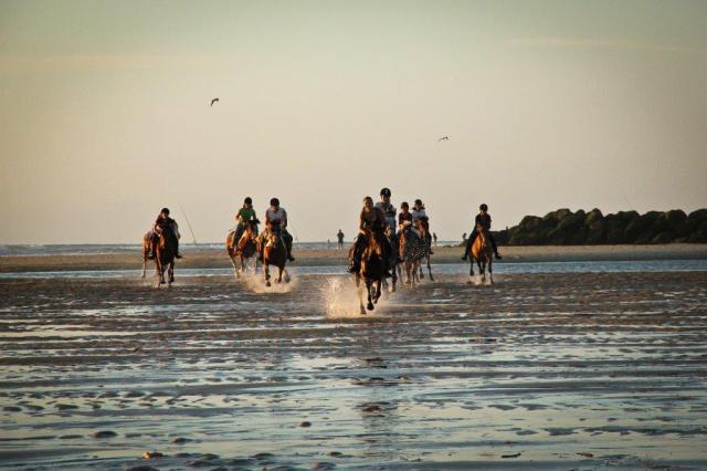 Photos for house 642179