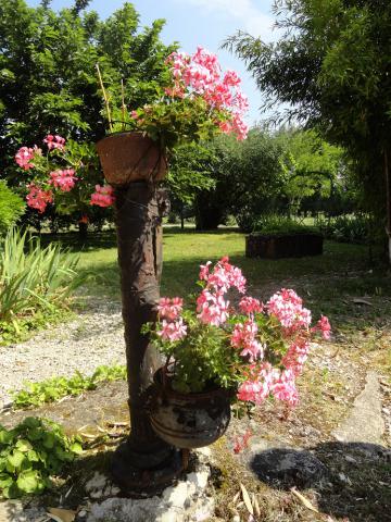 Photos for house 642187