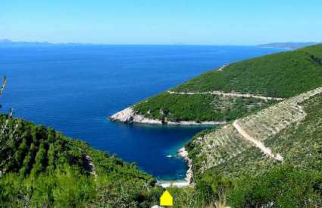 Photos for house 642194