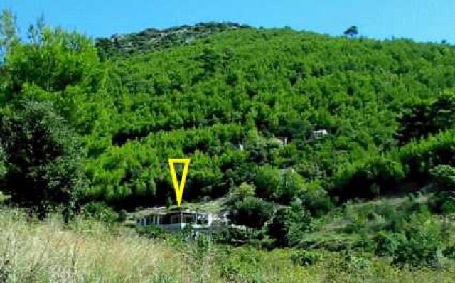 Photos for house 642194