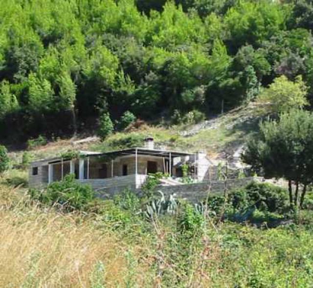 Photos for house 642194