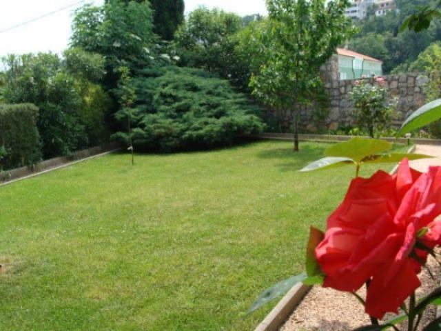 Photos for house 642197