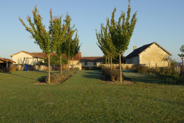 Photos for house 642201