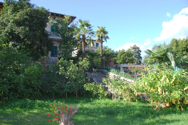 Photos for house 642213