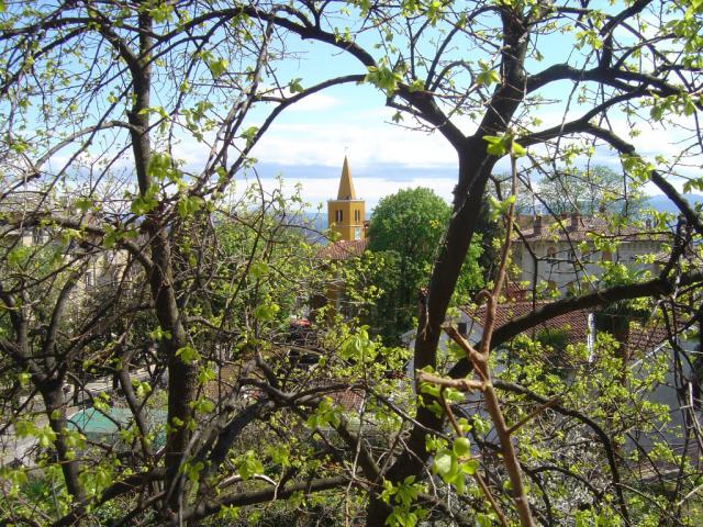 Photos for house 642213