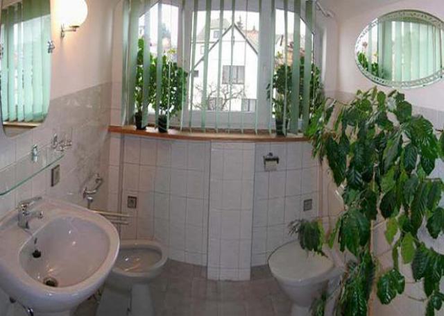 Photos for house 642216