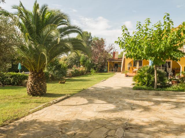 Photos for house 642220