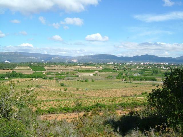 Photos for house 642220