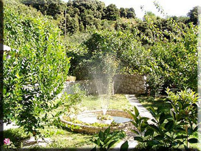 Photos for house 642221