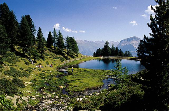 Photos for house 642233