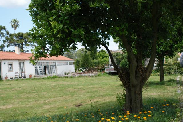 Photos for house 642234