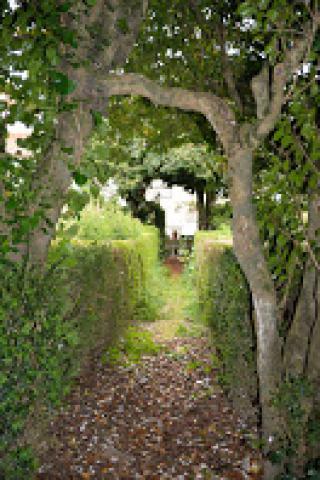 Photos for house 642235