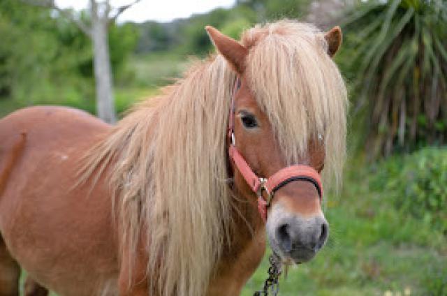 Photos for house 642235