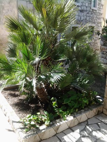 Photos for house 642236