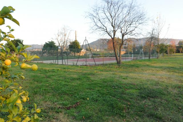 Photos for house 642237