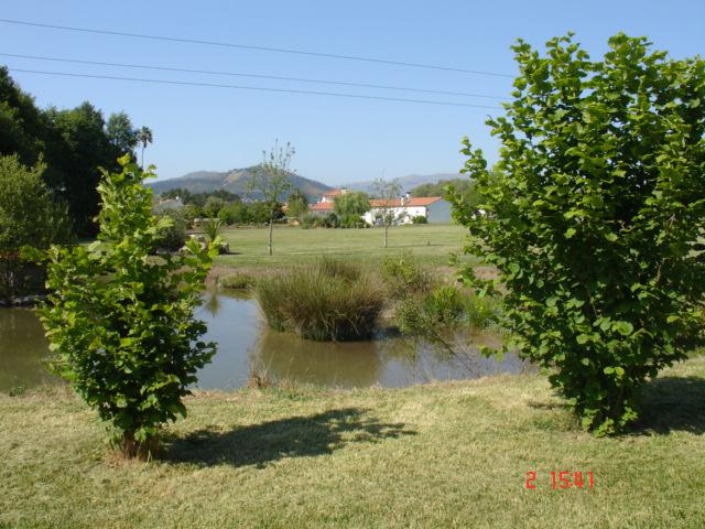 Photos for house 642237