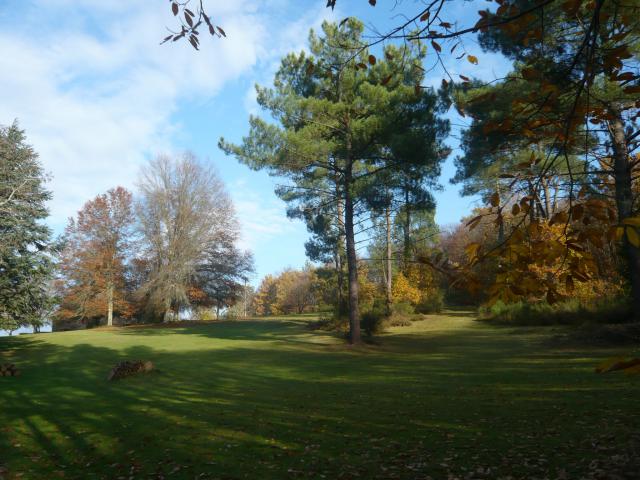 Photos for house 642245