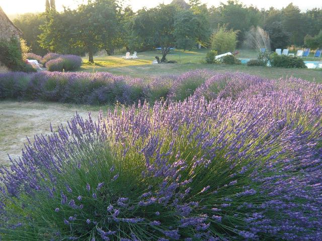 Photos for house 642245