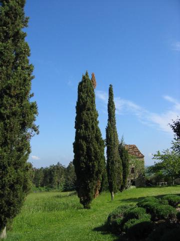 Photos for house 642245