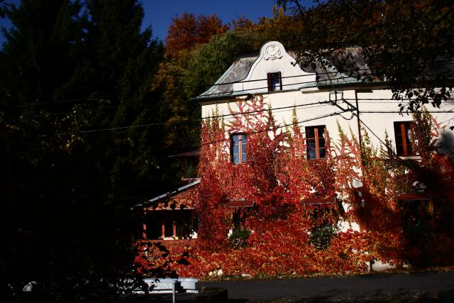 Photos for house 642246