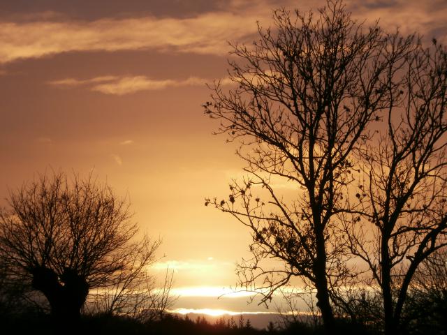 Photos for house 642251