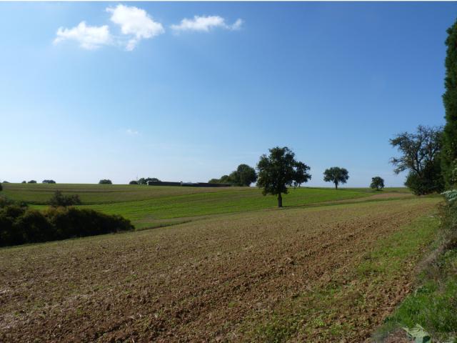 Photos for house 642262