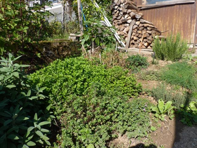 Photos for house 642262