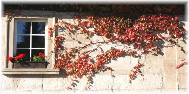 Photos for house 642269