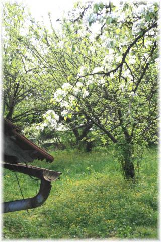 Photos for house 642269