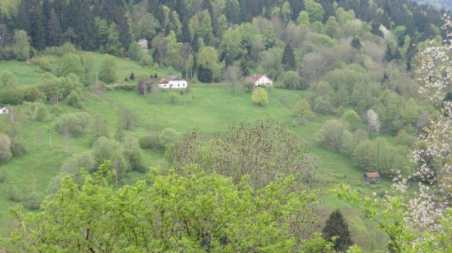 Photos for house 642270